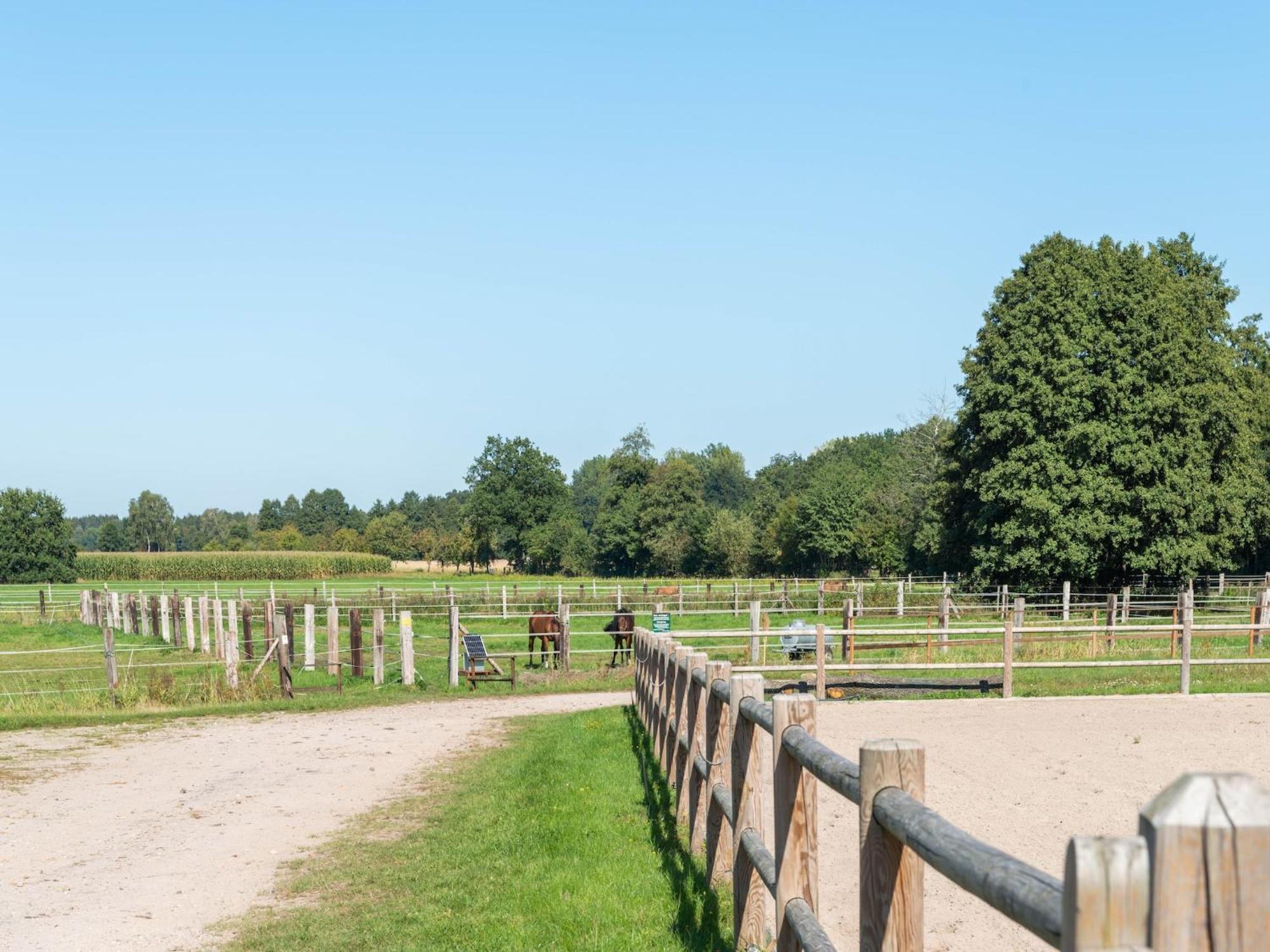 Eschede Holiday Home On A Horse Farm In The L Neburg Heath מראה חיצוני תמונה